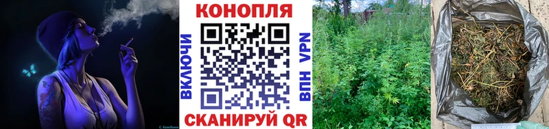 купить  цена  Дорогобуж  Марихуана сатива 